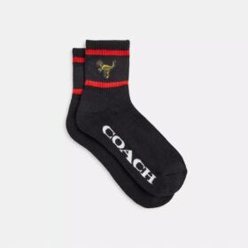 Rexy-Socken