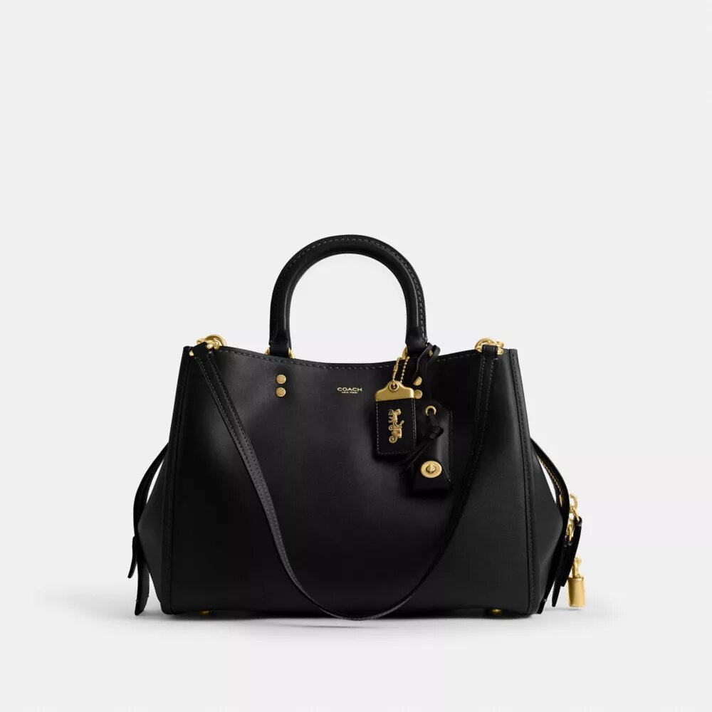 Rogue-Taschen 31