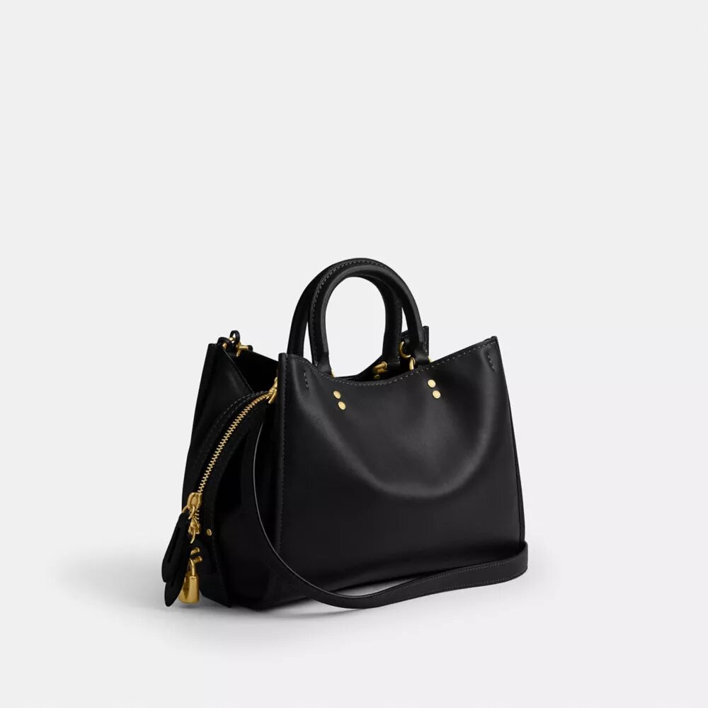 Rogue-Taschen 31