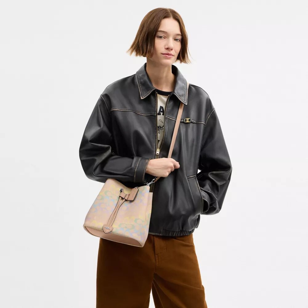 Rowan-Beuteltasche aus „Rainbow Signature Canvas“