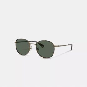 Runde Windsor-Sonnenbrille aus Metall