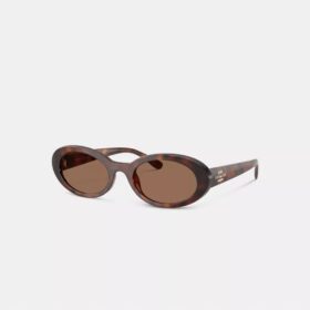 Schmale ovale Sonnenbrille