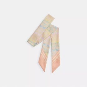Schmaler Seidenschal mit charakteristischem Regenbogen-Print