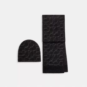 Signature Metallic-Mütze und Schal im Geschenkset