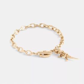 Skelett-Rexy-Armband mit charakteristischer Kette