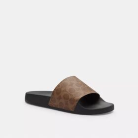 Slide aus unserem Signature Canvas