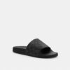 Slide aus unserem Signature Canvas