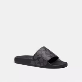 Slide aus unserem Signature Canvas
