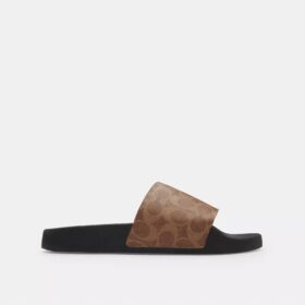 Slide aus unserem Signature Canvas