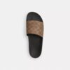 Slide aus unserem Signature Canvas