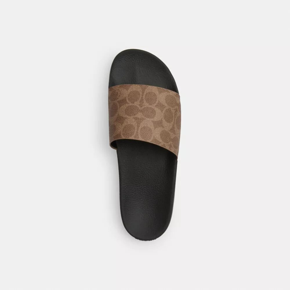 Slide aus unserem Signature Canvas