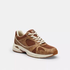 Sportschuhe aus Signature Canvas