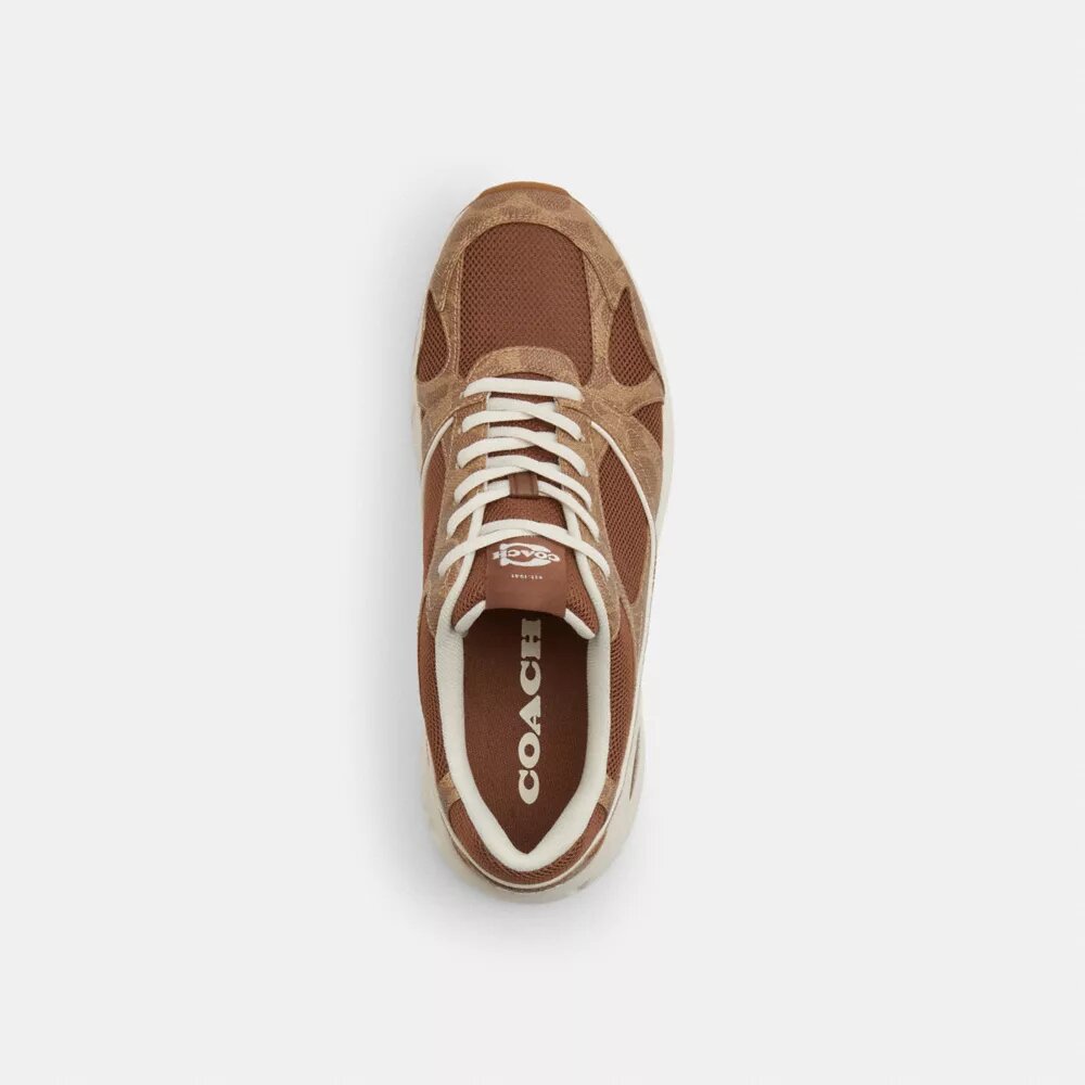 Sportschuhe aus Signature Canvas