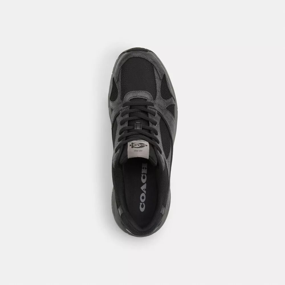 Sportschuhe aus Signature Canvas