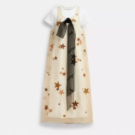 Star-Organza-Kleid