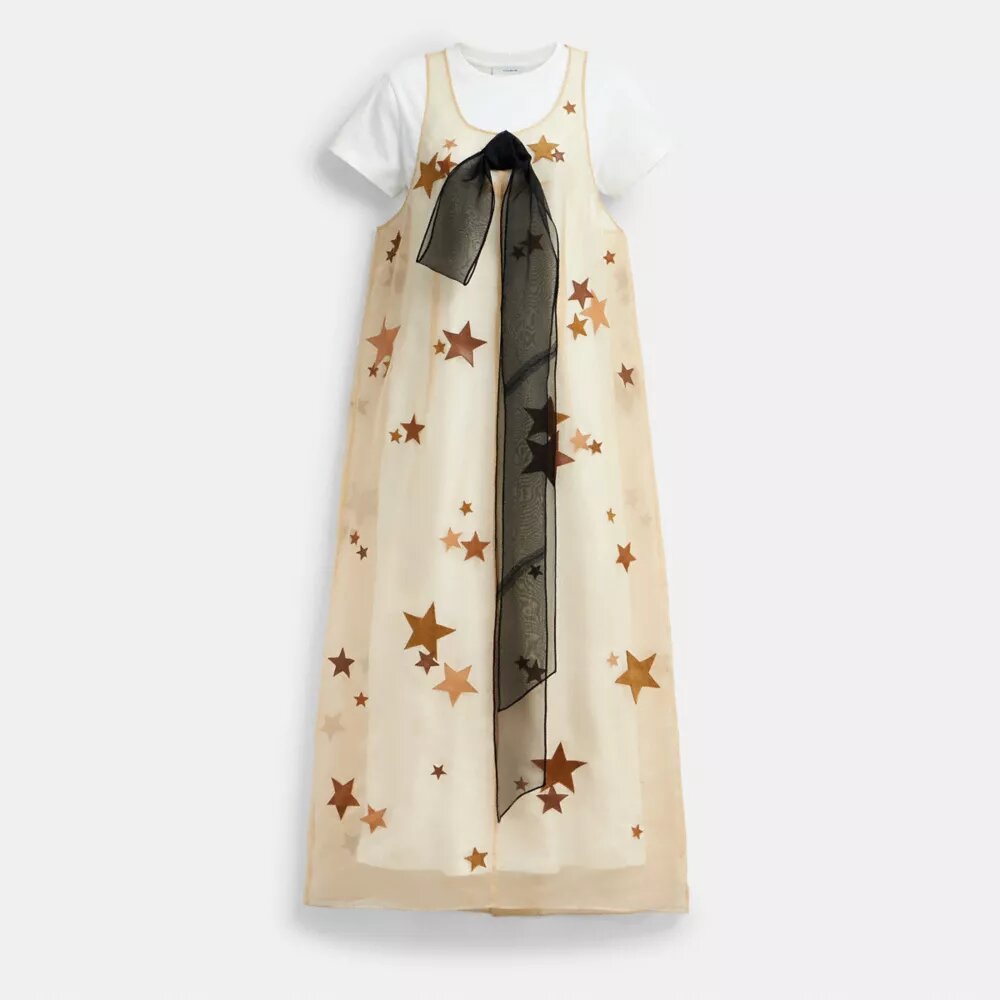 Star-Organza-Kleid