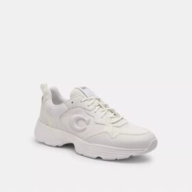 Strider-Sneaker aus Signature Canvas