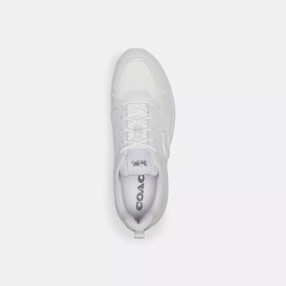 Strider-Sneaker aus Signature Canvas