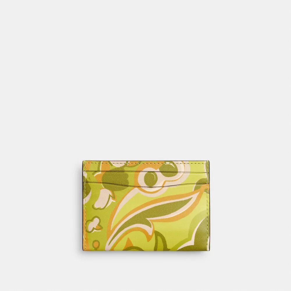 Unverzichtbares Kartenetui mit Paisley-Print