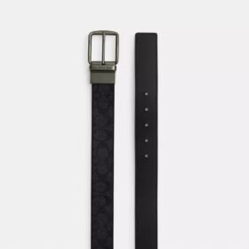 Wendegürtel mit Plakette und Harnischschnalle, auf Maß zuschneidbar, 38 mm